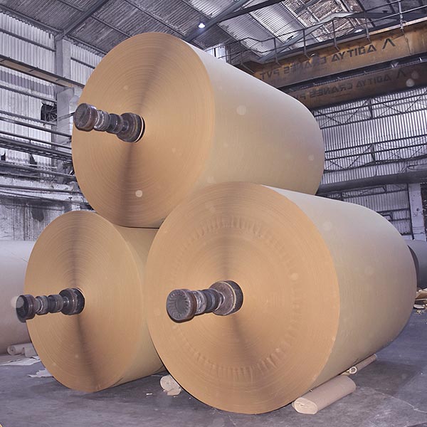 Paper rolls and sheets